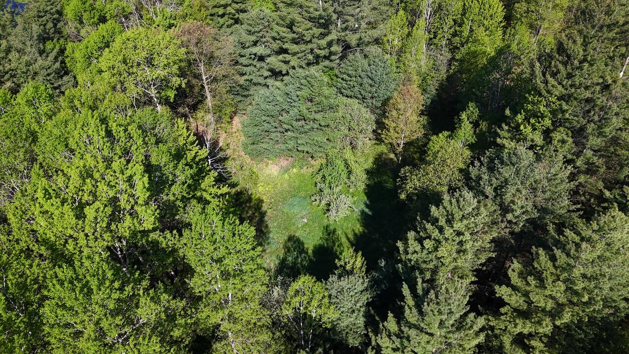 11547 1 Mile Road Leroy, MI 49655 - Photo 46 of 73 36_