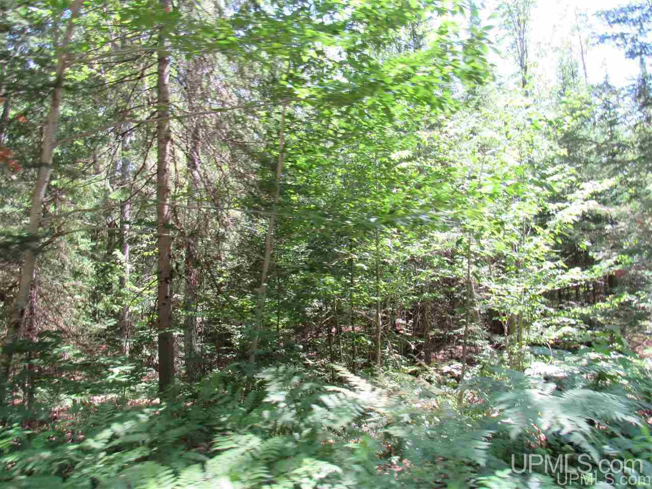 2804-acres Co Rd 442 McMillan, MI 49853 - Photo 19 of 48