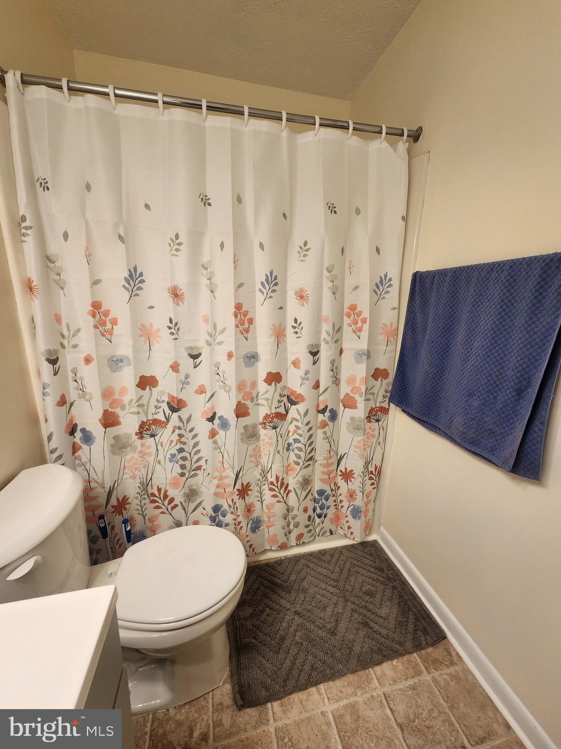 243 Brunswick Road Stephens City, VA 22655 - Photo 17 of 24 Upstairs full bath