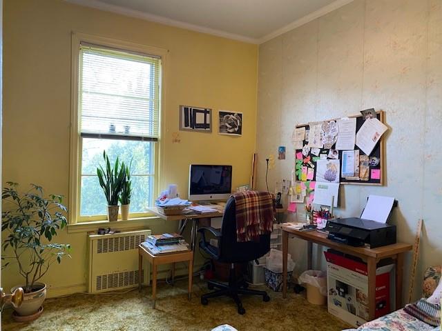 4021 Avenue R Brooklyn, NY 11234 - Photo 16 of 20 a work room with furniture and a potted plant