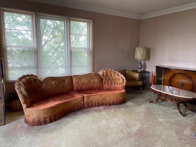 4021 Avenue R Brooklyn, NY 11234 - Photo 19 of 20 a living room with furniture and a large window