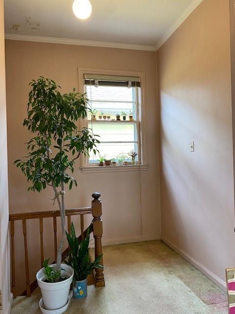 4021 Avenue R Brooklyn, NY 11234 - Photo 20 of 20 a room with a potted plant and a large window