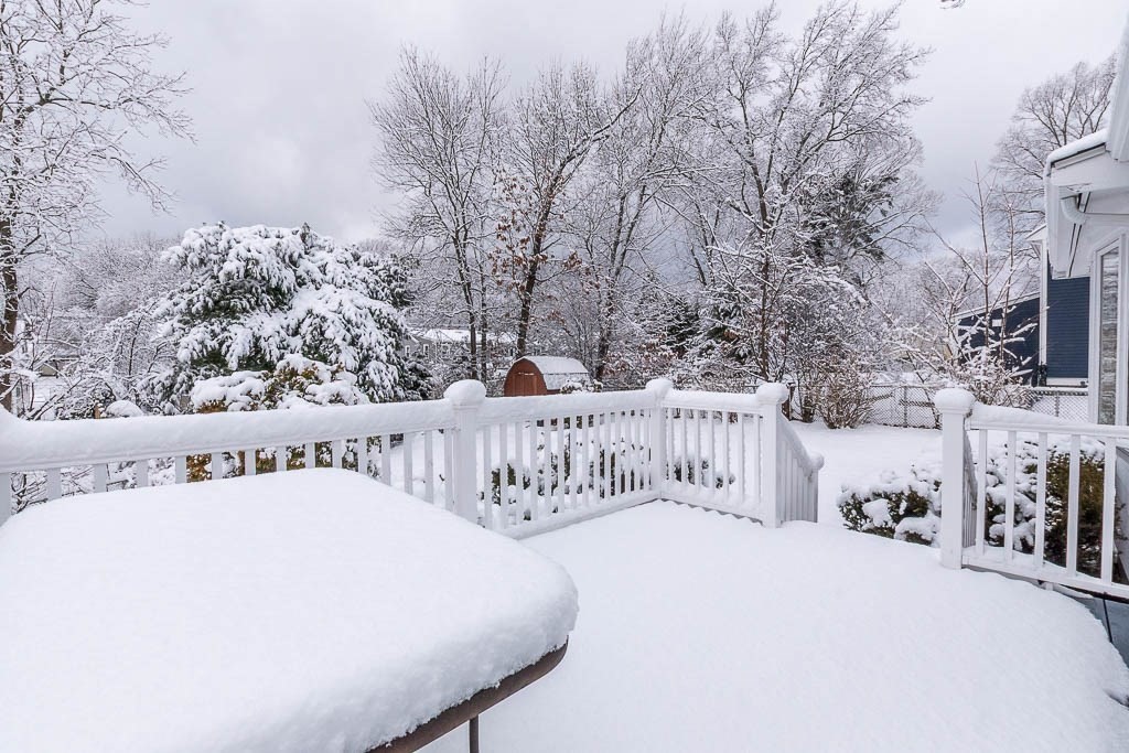 6 Snow Lane Dedham, MA 02026 - Photo 33 of 42