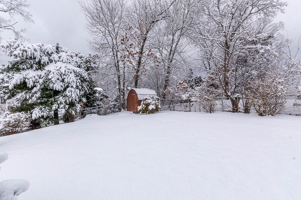 6 Snow Lane Dedham, MA 02026 - Photo 34 of 42