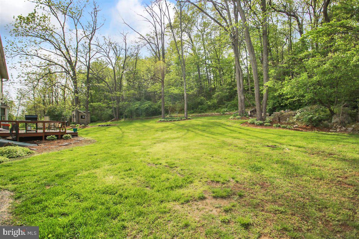 300 Germany Ridge Road Elliottsburg, PA 17024 - Photo 5 of 45 Gallery Image 5