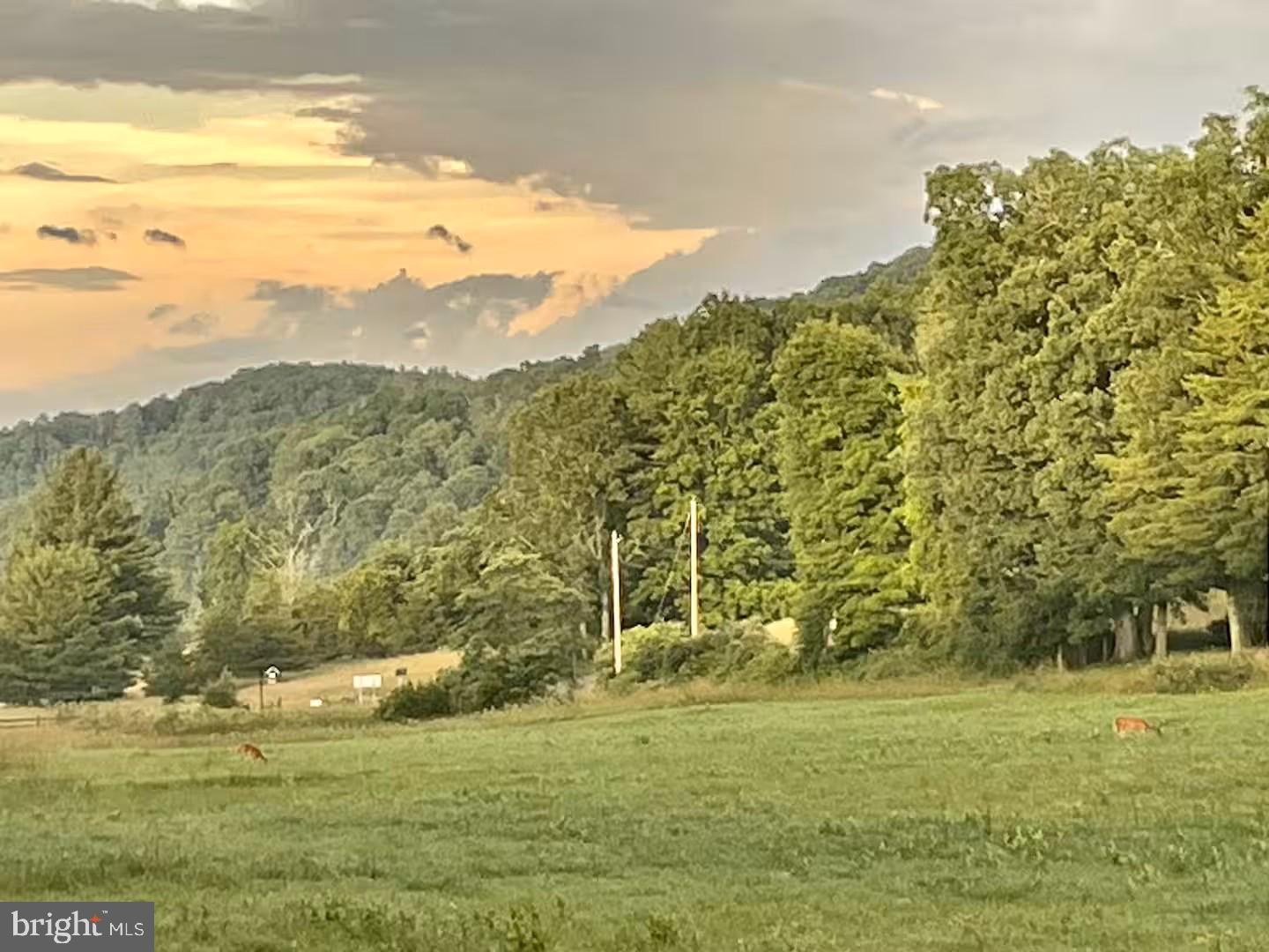 184 Skiles- Pitsenbarger Road Franklin, WV 26807 - Photo 38 of 39 Serene sunset over lush meadows.