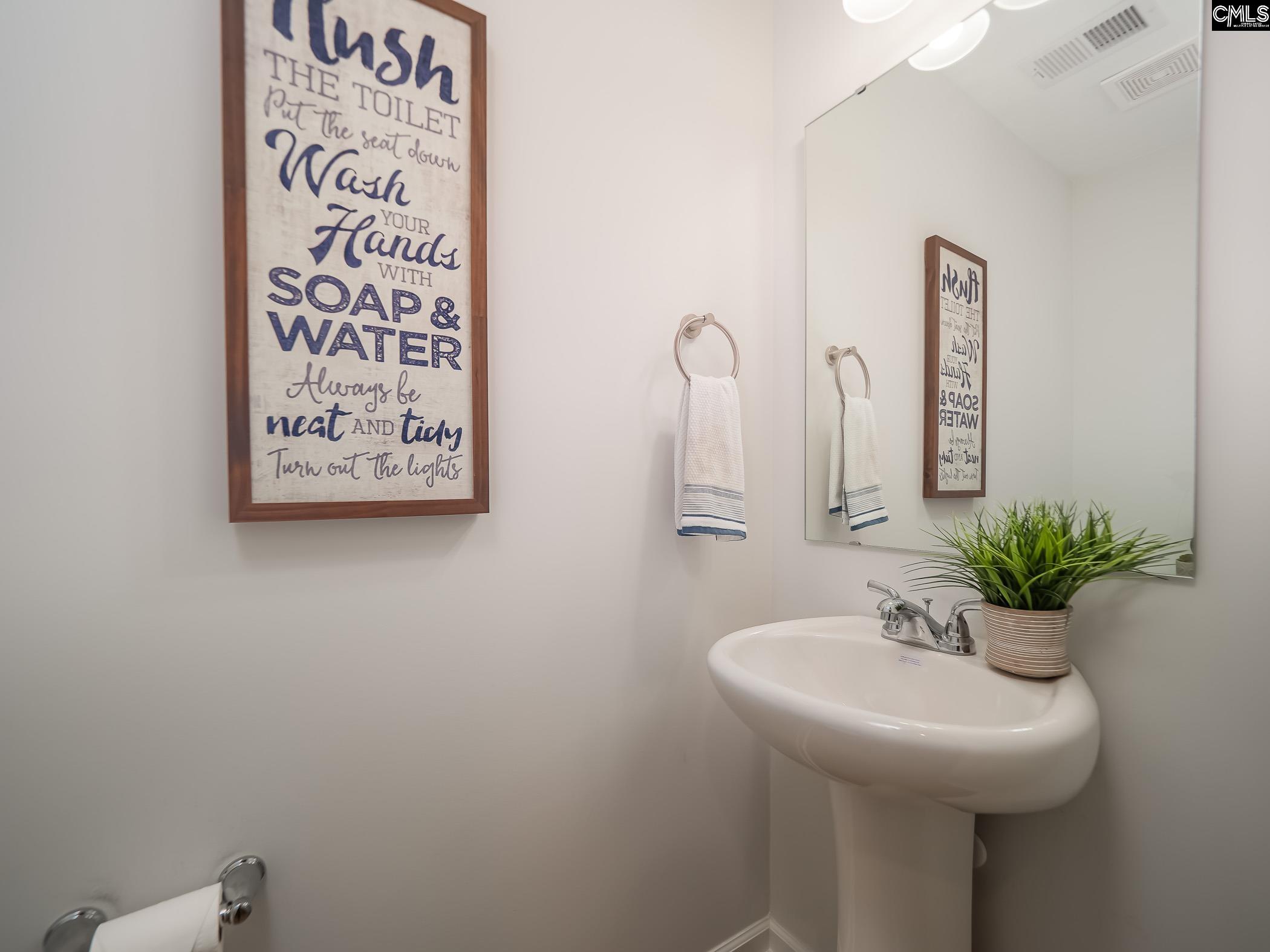 216 Flatsedge Court Lexington, SC 29072 - Photo 9 of 20