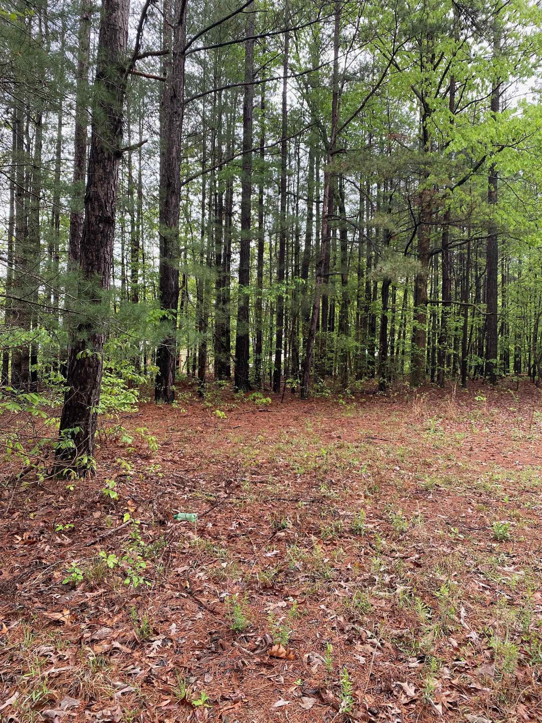 0 Blue Coat Road Chesnee, SC 29323 - Photo 1 of 7