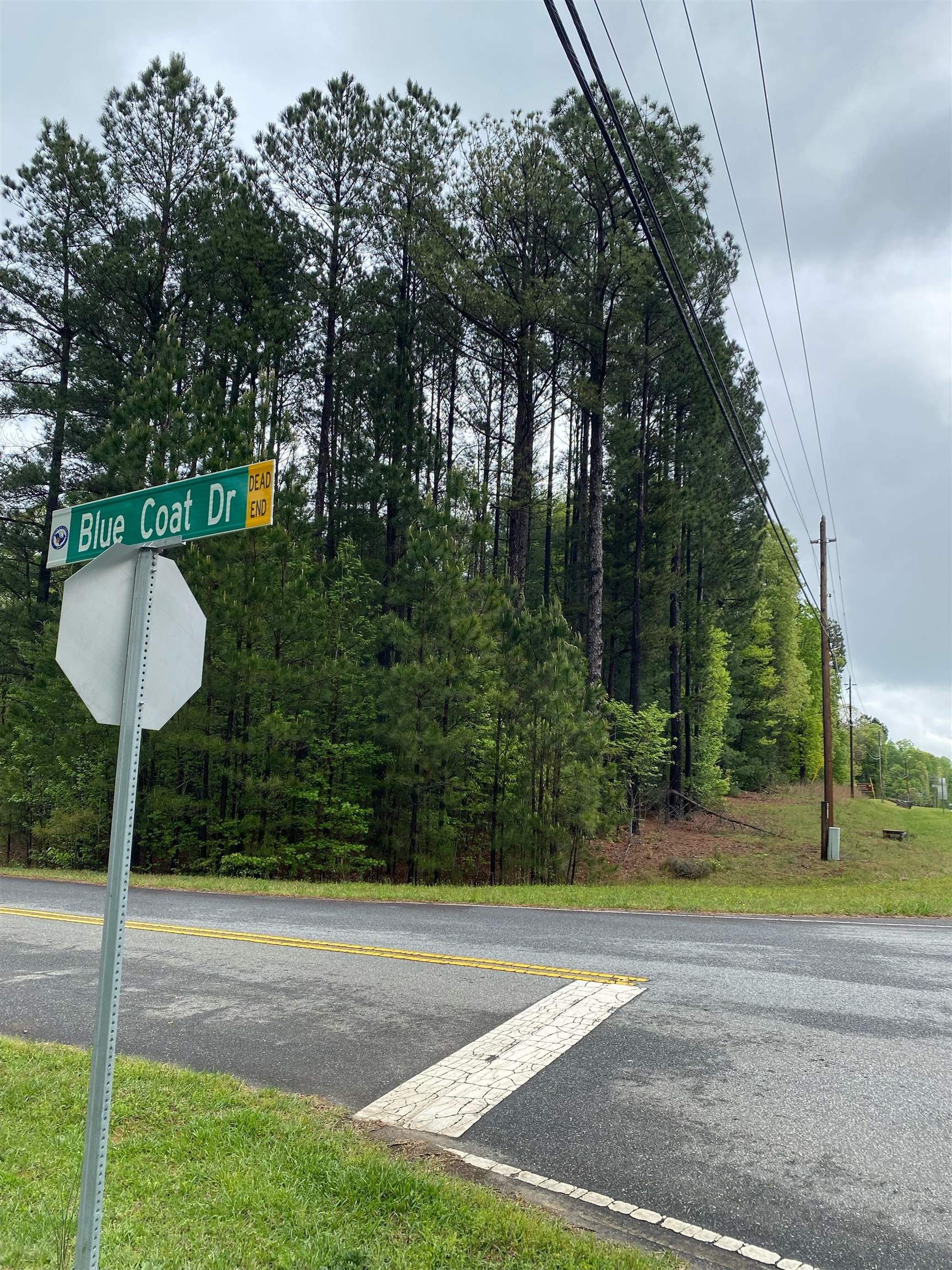 0 Blue Coat Road Chesnee, SC 29323 - Photo 2 of 7