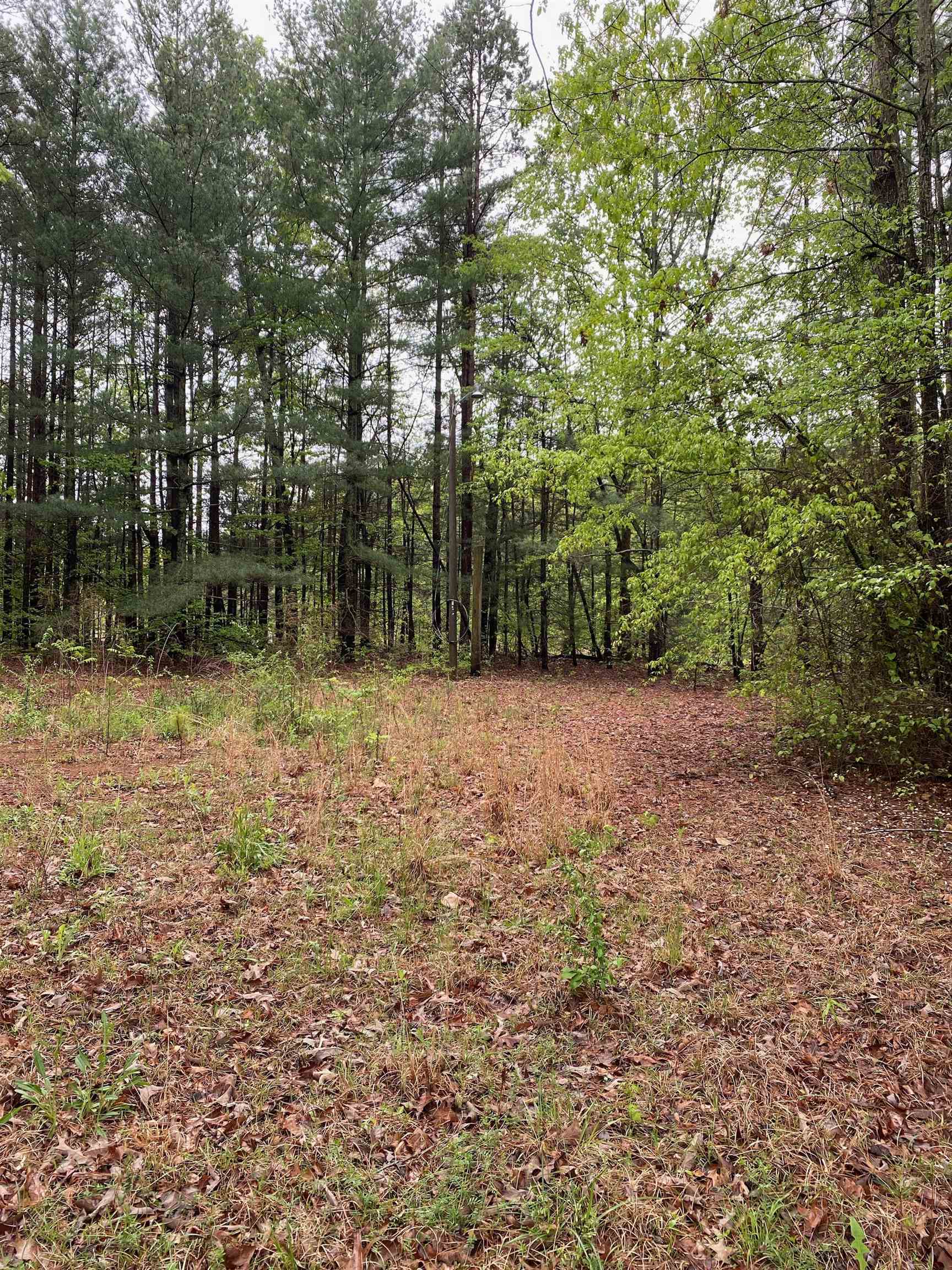 0 Blue Coat Road Chesnee, SC 29323 - Photo 4 of 7