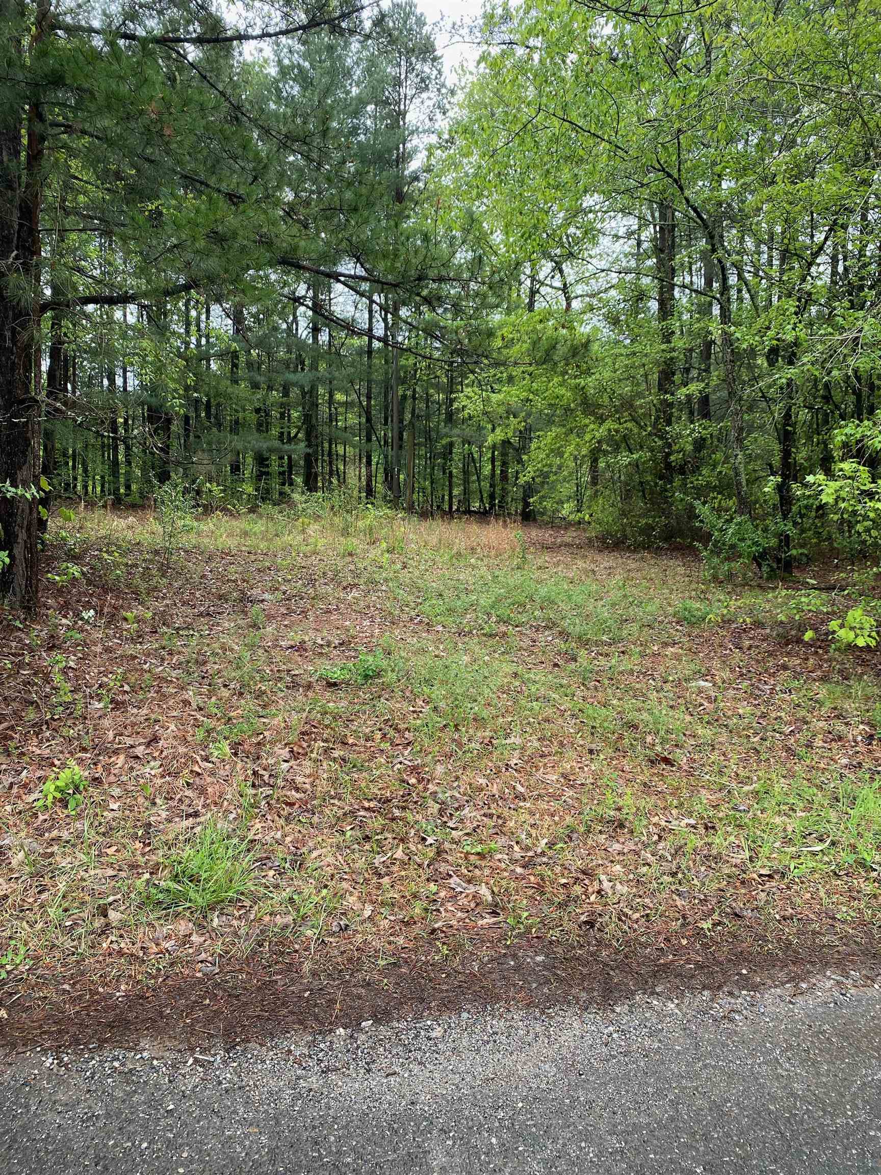 0 Blue Coat Road Chesnee, SC 29323 - Photo 6 of 7