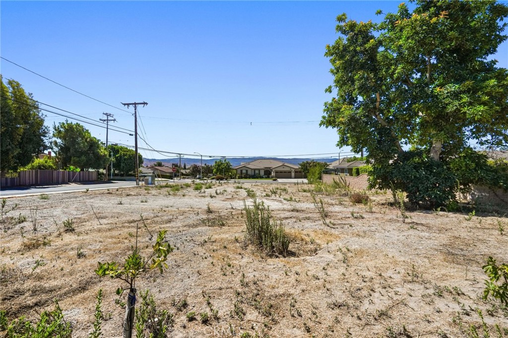 2877 Avenida Simi Simi Valley, CA 93065 - Photo 24 of 26 a view of a yard with trees