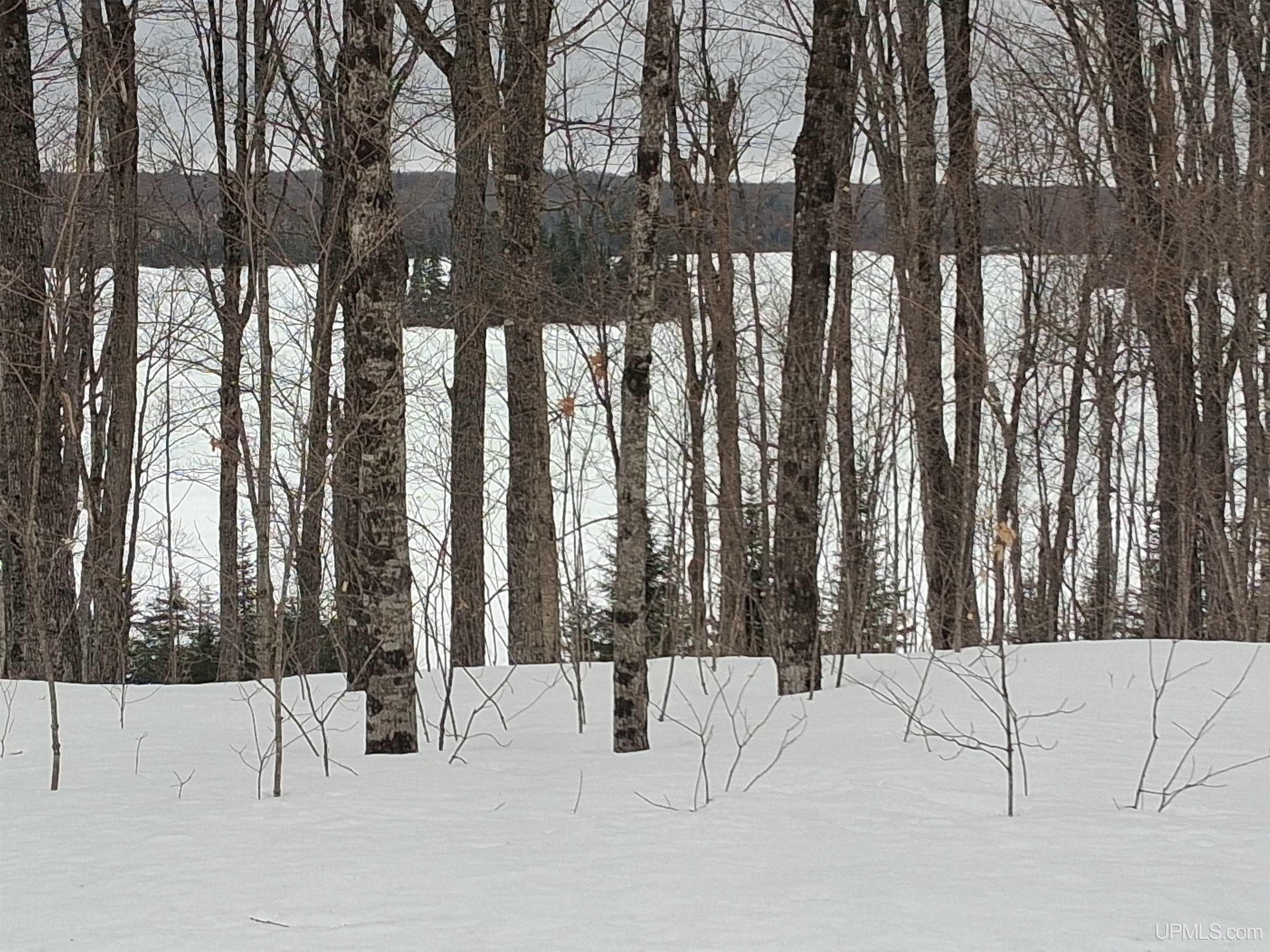 Lot 7 Fence Lake Road Republic, MI 49879 - Photo 19 of 21