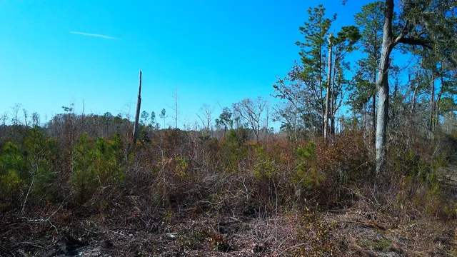 $475,000 | Xxx Big Joe Road, Monticello, FL 32344