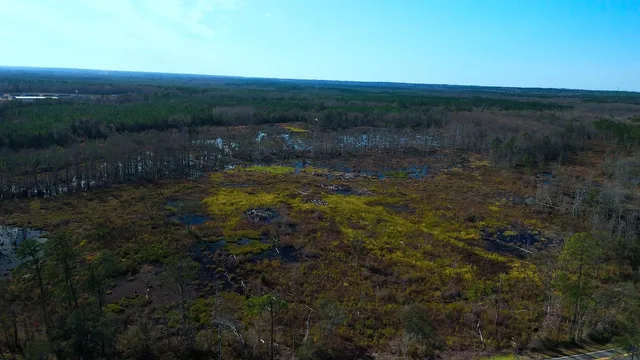 $475,000 | Xxx Big Joe Road, Monticello, FL 32344