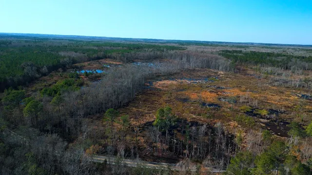 $475,000 | Xxx Big Joe Road, Monticello, FL 32344