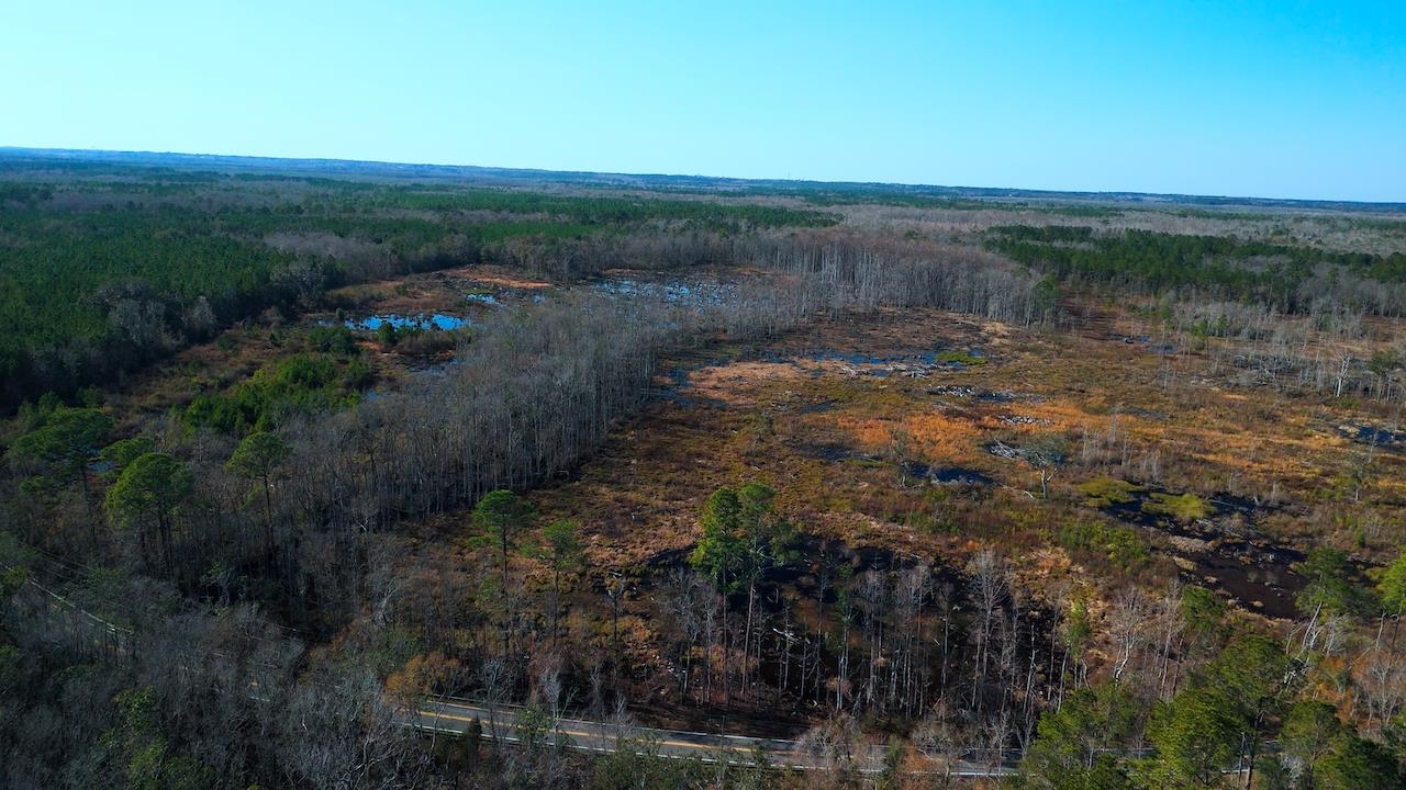 Xxx Big Joe Road Monticello, FL 32344 - Photo 5 of 6