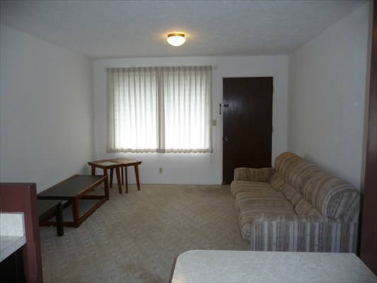 272 Kapiolani Street, Unit 204 Hilo, HI 96720 - Photo 5 of 10 a living room with furniture and a window