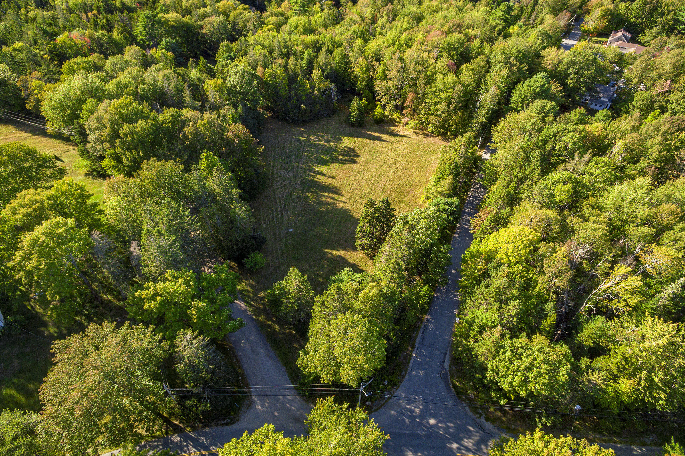 0 Blanchard Road Mount Desert, ME 04660 - Photo 4 of 8 Beech-Hill-Land-2