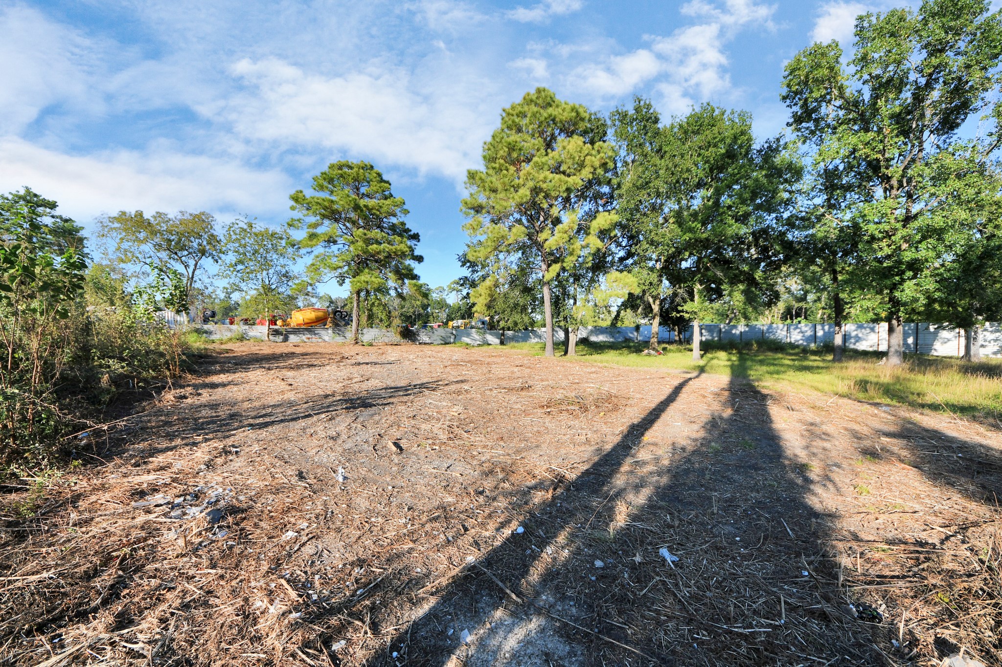 5207 Mayle Street Houston, TX 77016 - Photo 21 of 25 a view of a yard with plants and trees