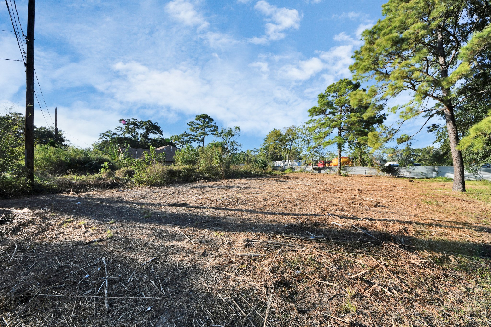 5207 Mayle Street Houston, TX 77016 - Photo 23 of 25 a view of dirt yard with a large tree
