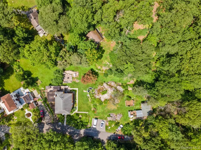 a view of a garden with plants