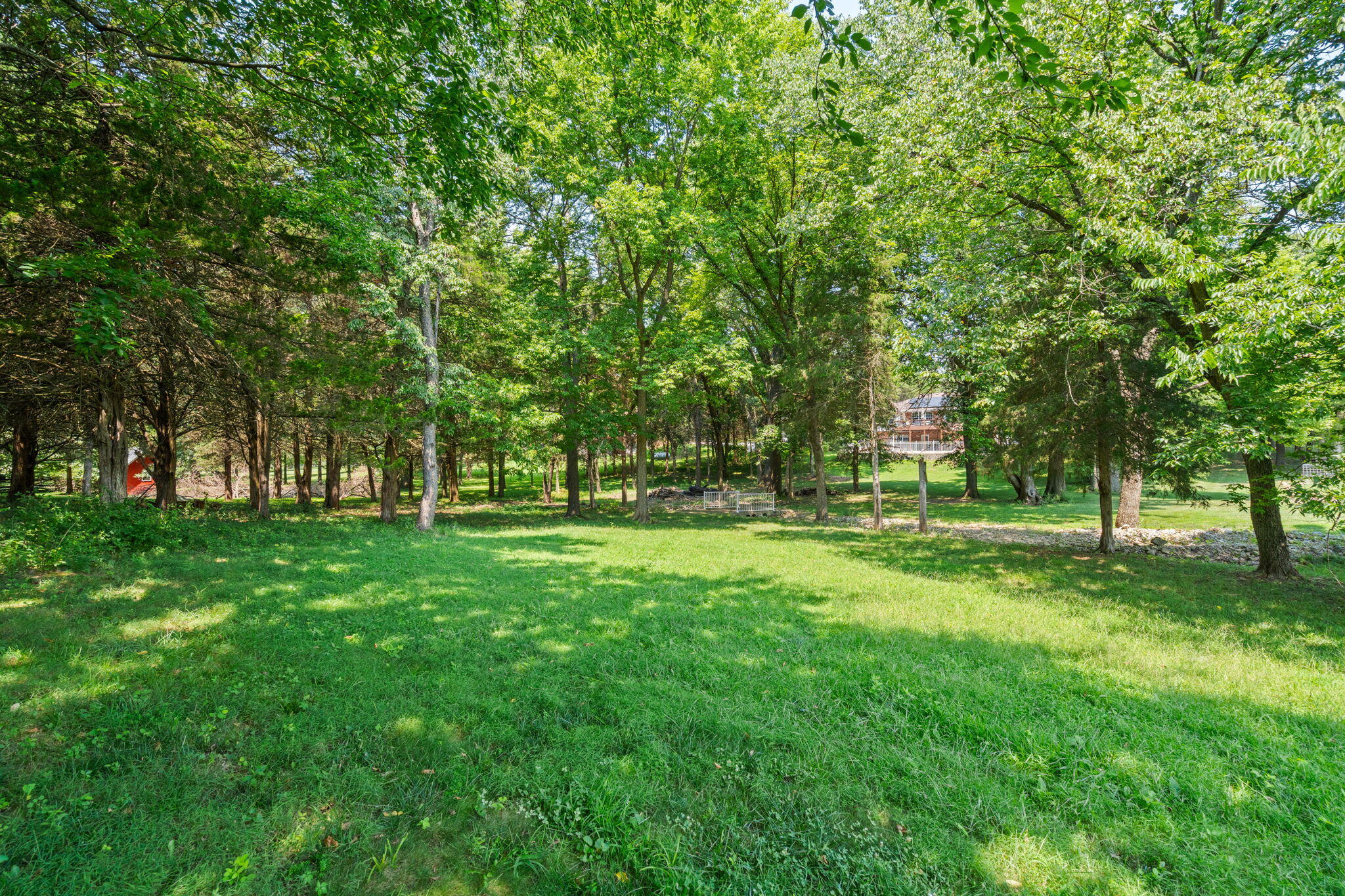 1745 North Carnegie Road Nixa, MO 65714 - Photo 52 of 57 54-web-or-mls-DSC02779
