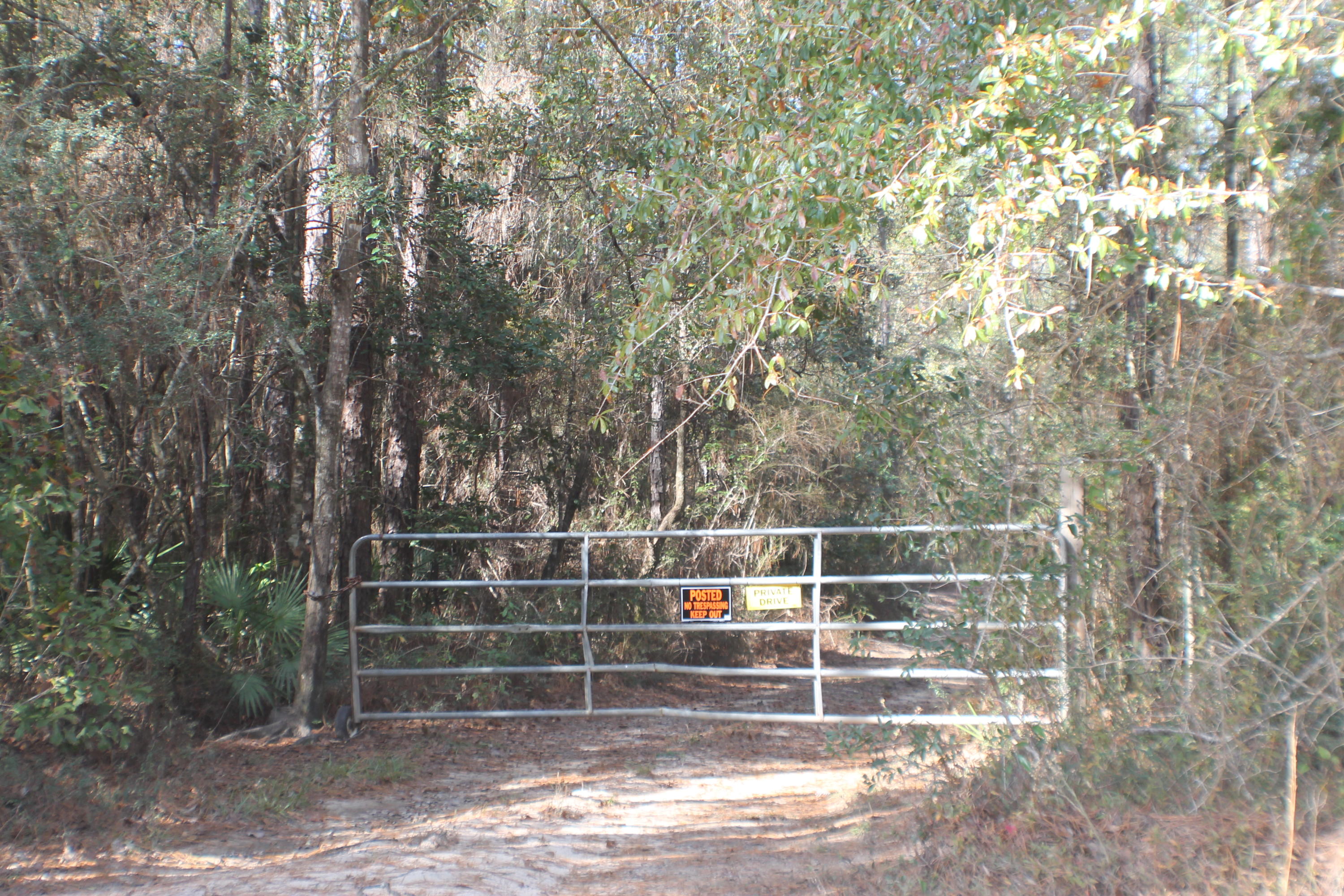 393 Crestview Crestview, FL 32539 - Photo 6 of 10 IMG_5910