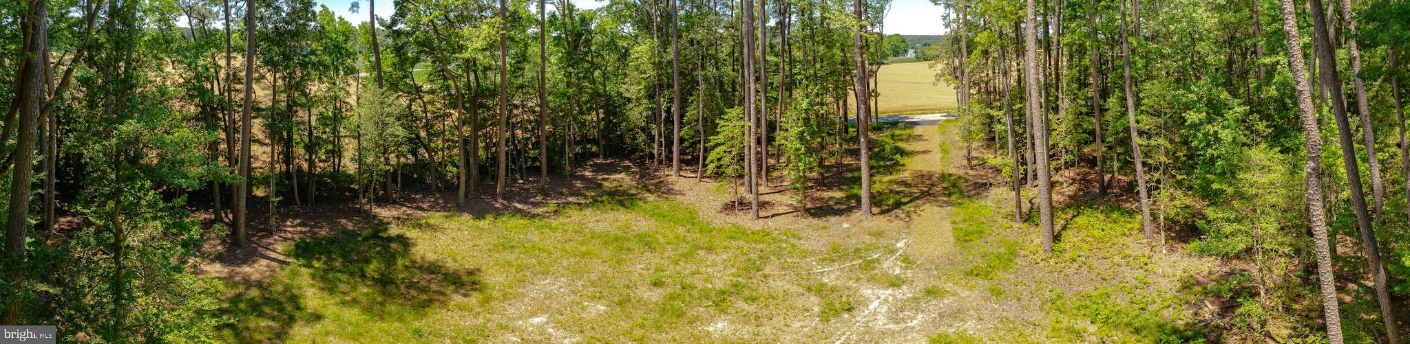 17328 St Jeromes Neck Road Dameron, MD 20628 - Photo 19 of 19