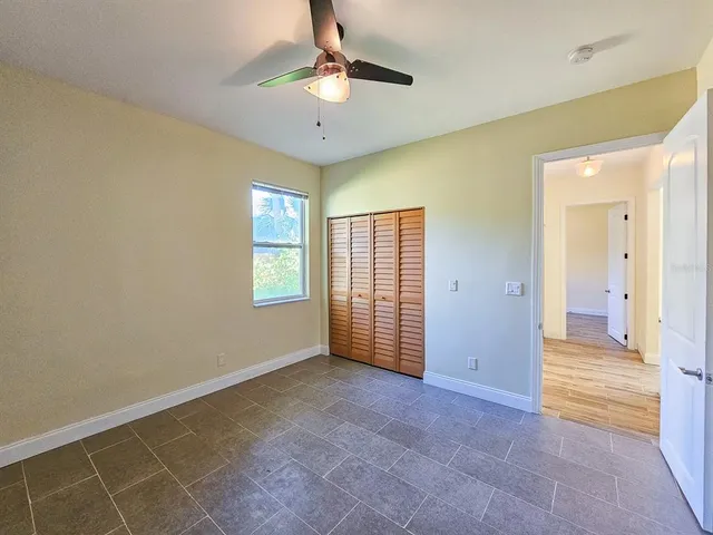 a view of a yard with plants and large trees