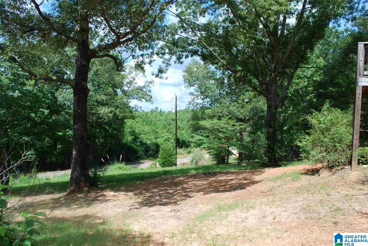 5124 Vernon Town Road West Blocton, AL 35184 - Photo 4 of 21