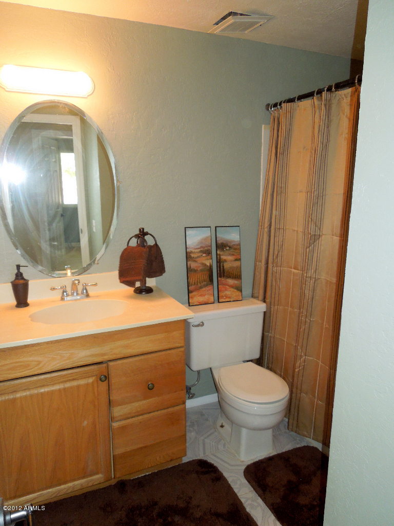 1915 West Decatur Street Mesa, AZ 85201 - Photo 6 of 9 Hall Bathroom