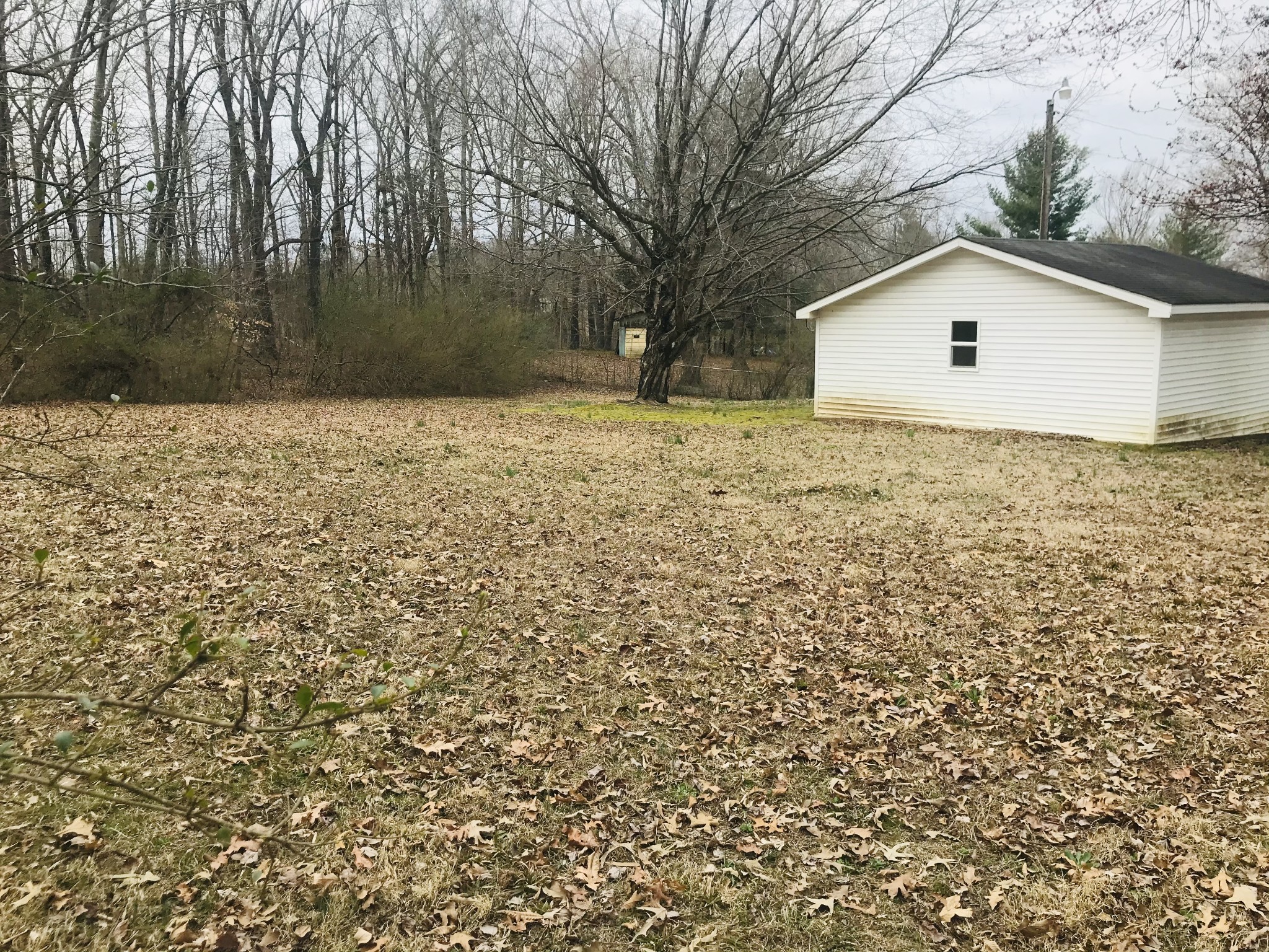 112 Hogin Road Dickson, TN 37055 - Photo 3 of 6 Gallery Image 3