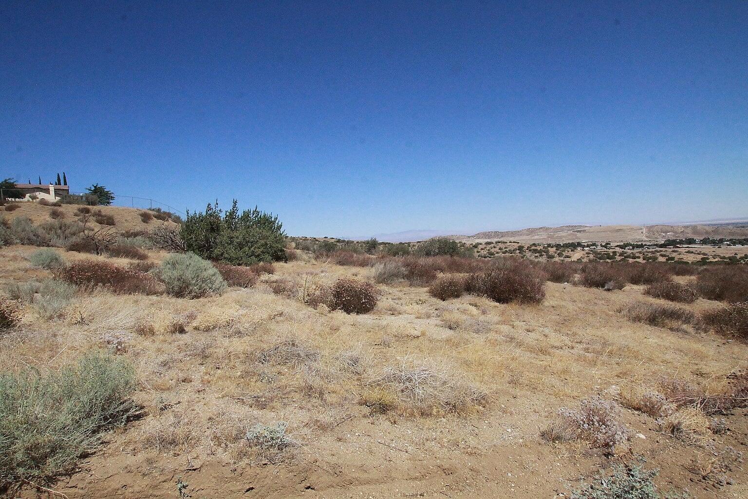 Barrel Springs Palmdale, CA 93551 - Photo 5 of 11 a view of a dry field with trees in background