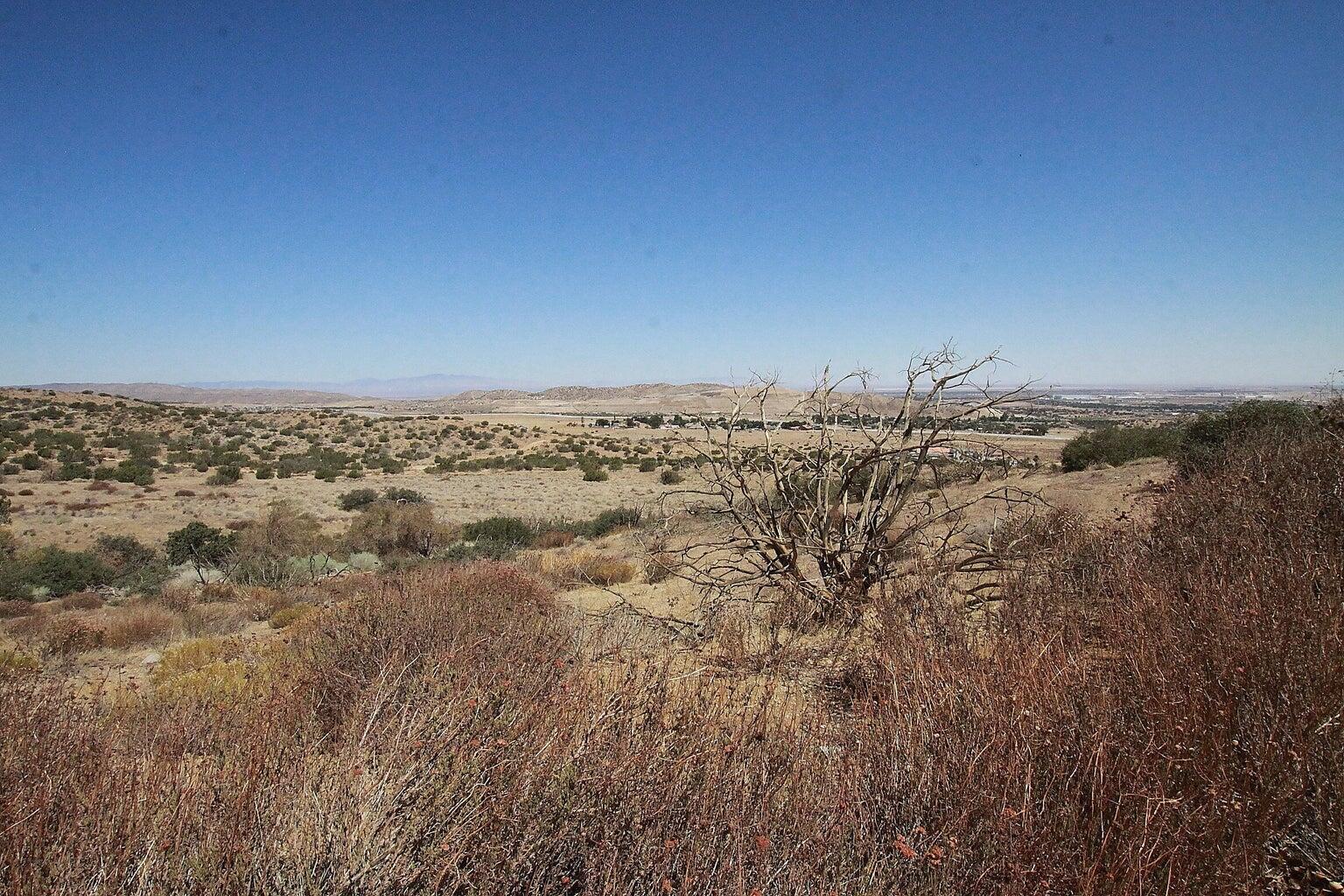 Barrel Springs Palmdale, CA 93551 - Photo 6 of 11 wooden floor