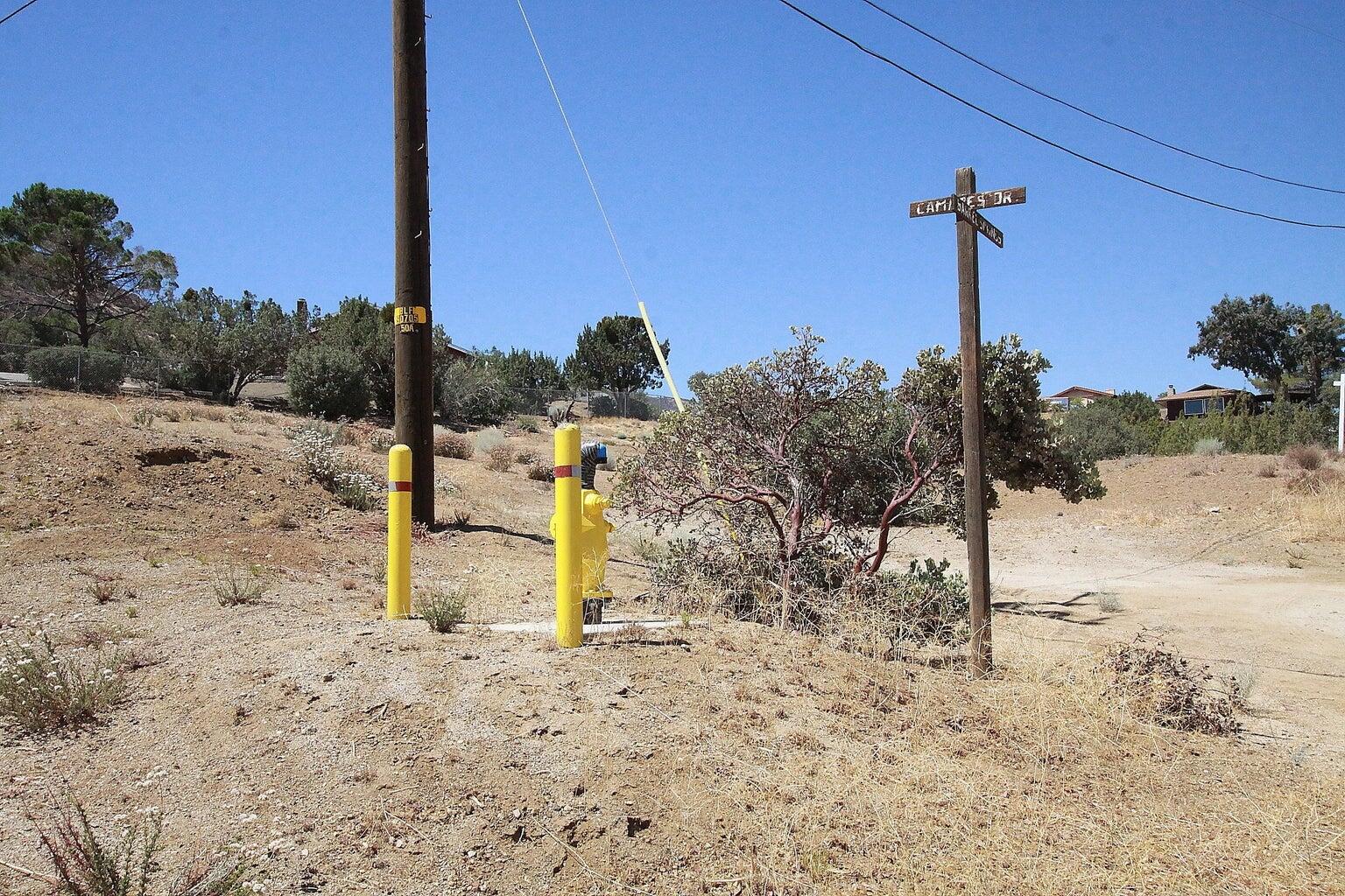 Barrel Springs Palmdale, CA 93551 - Photo 10 of 11 a view of a yard with a tree