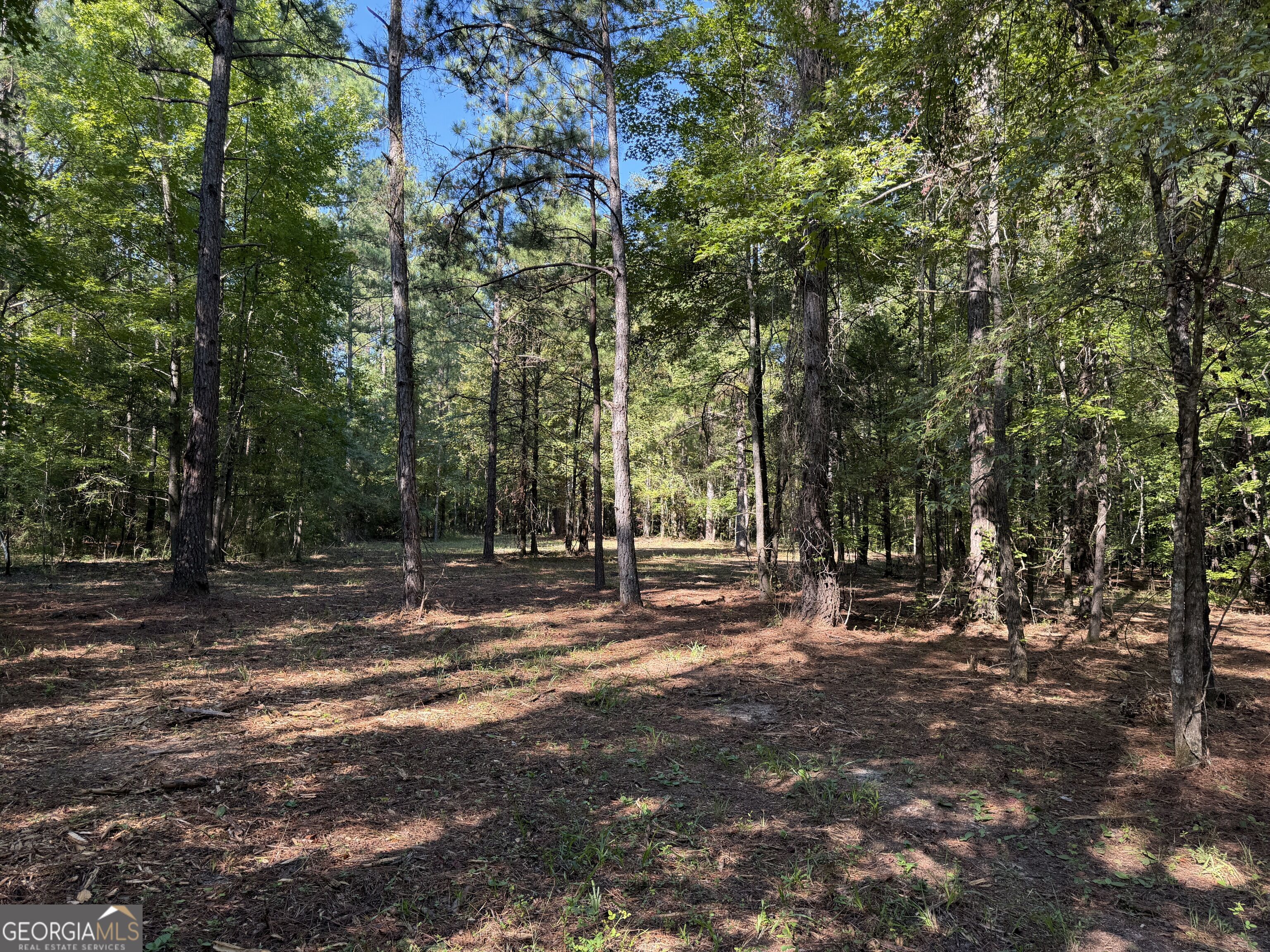 0 Pig Road Bartow, GA 30413 - Photo 7 of 44 Gallery Image 7