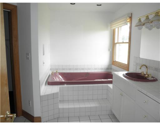 368 Raymaley Road Harrison City, PA 15636 - Photo 13 of 18 Master Bath/Spa.