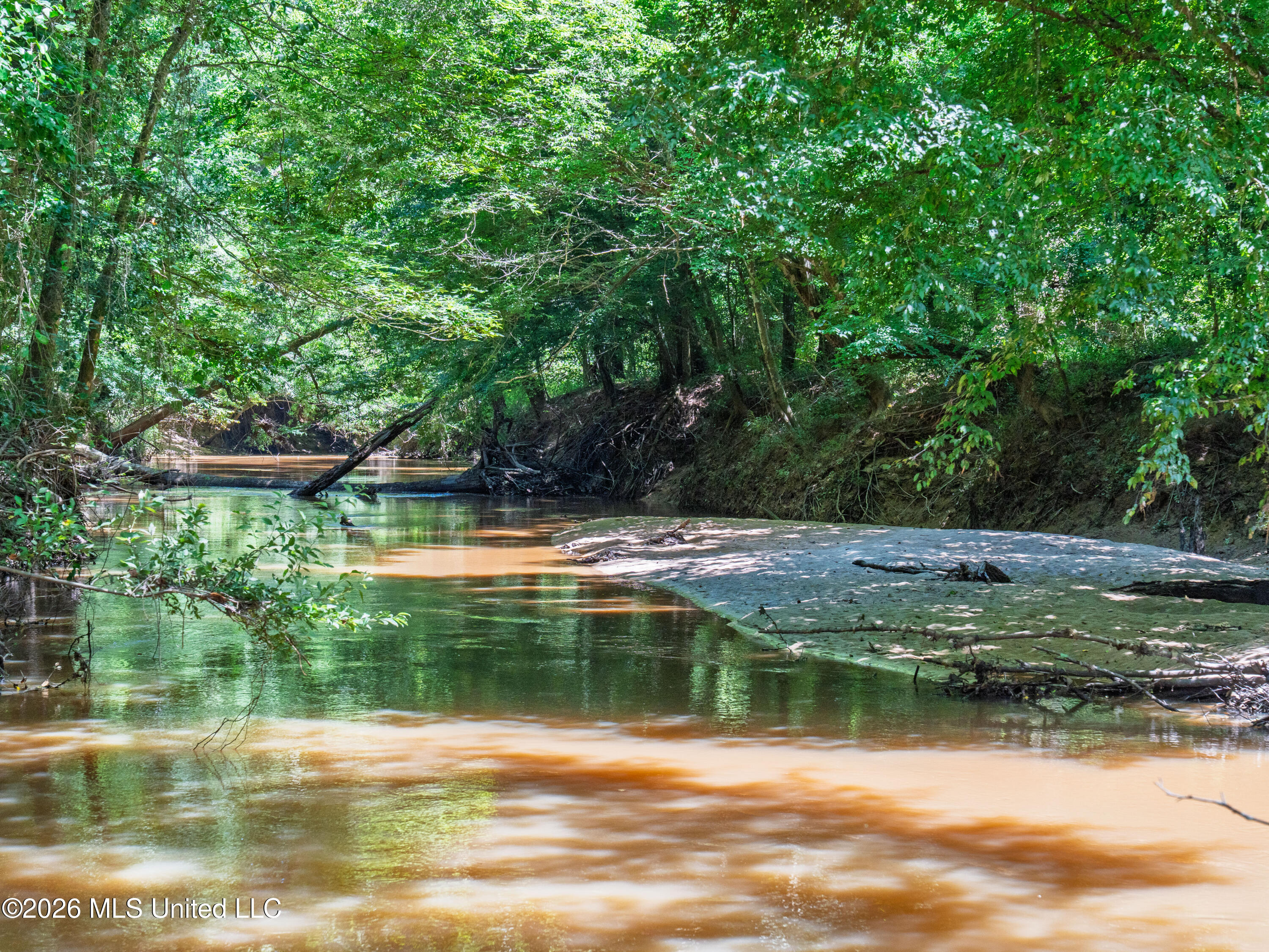23 Co Road Bay Springs, MS 39422 - Photo 29 of 64 A7403779