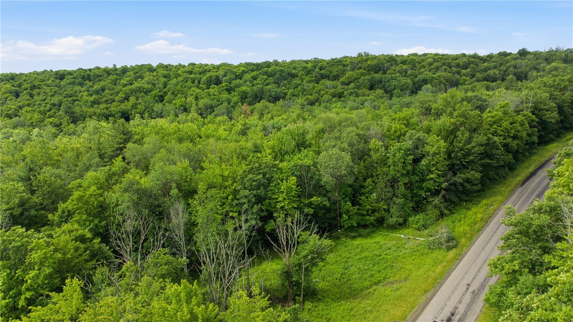Dunn Road Pine Valley, NY 14872 - Photo 4 of 14