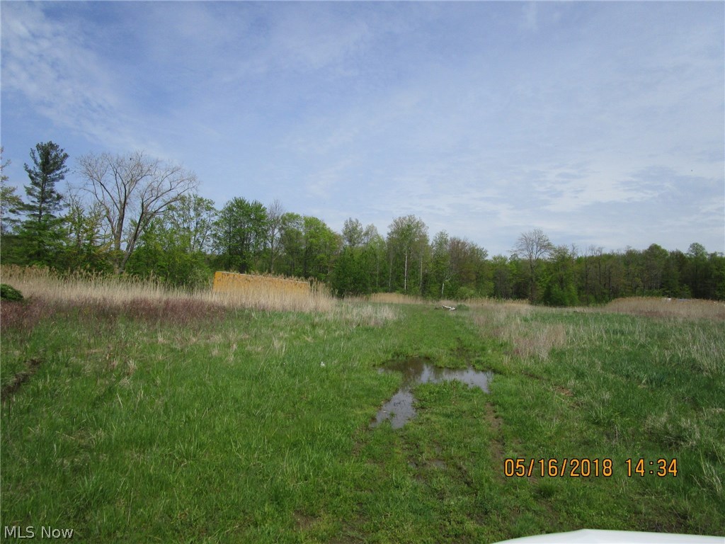 0 North County Line Road North Geneva, OH 44041 - Photo 3 of 9