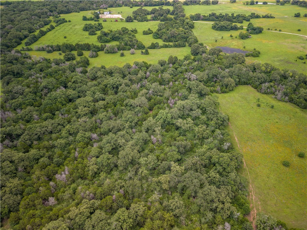 10102 Ferrill Creek Road Bryan, TX 77808 - Photo 3 of 29