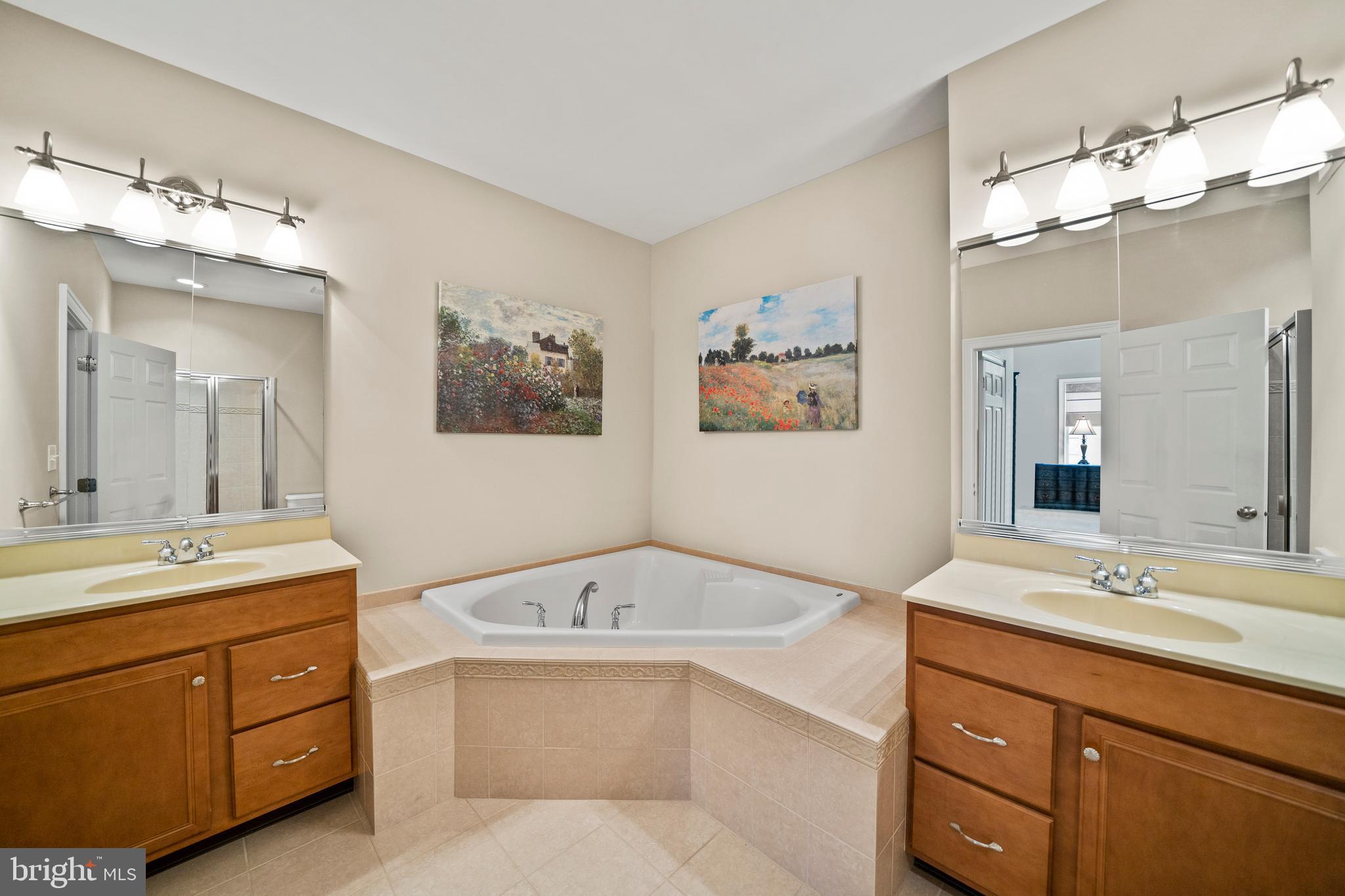 45 Sloan Road West Chester, PA 19382 - Photo 23 of 43 Master Bath