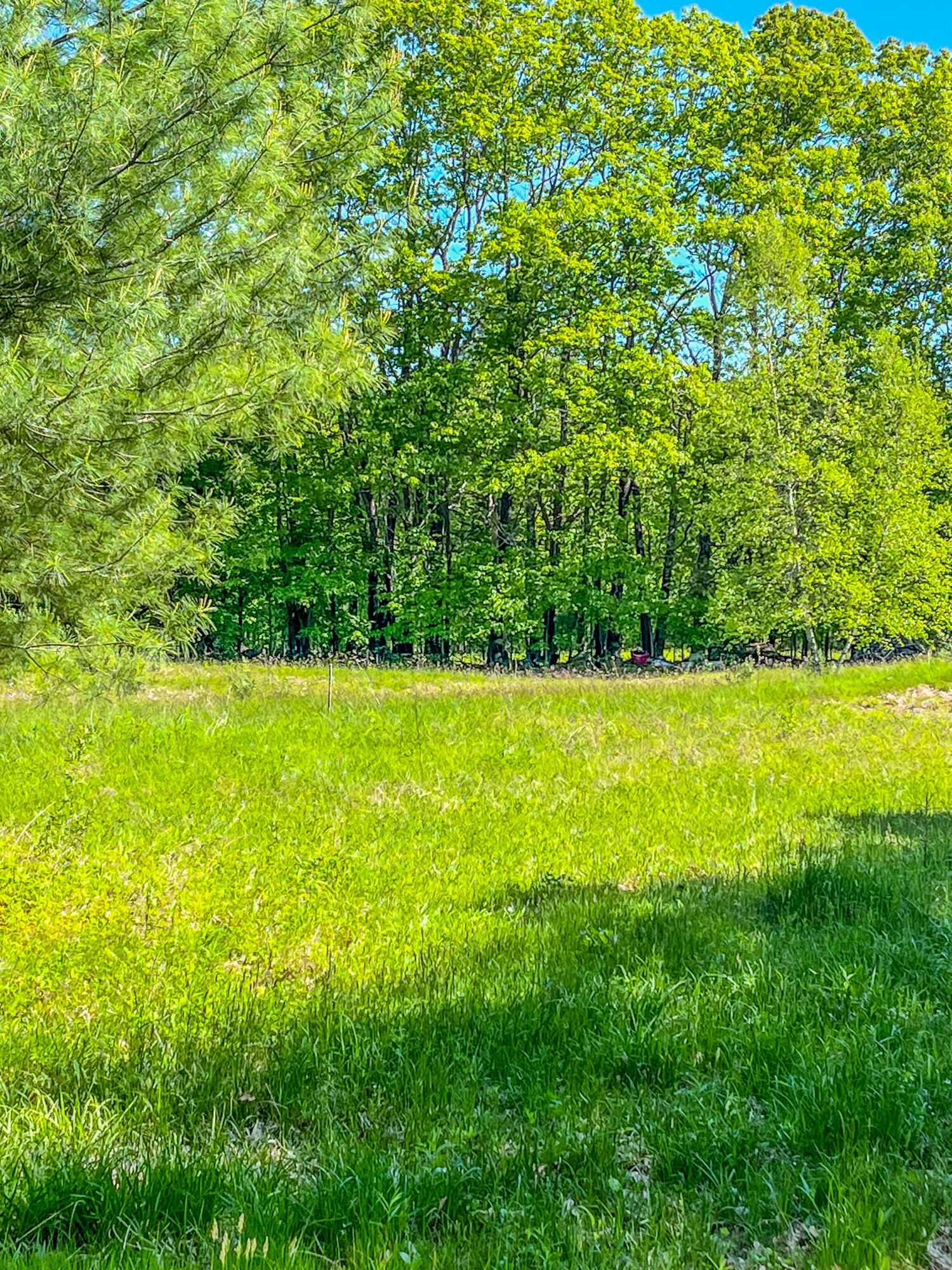 13 South Dondero Road Augusta, ME 04330 - Photo 6 of 17