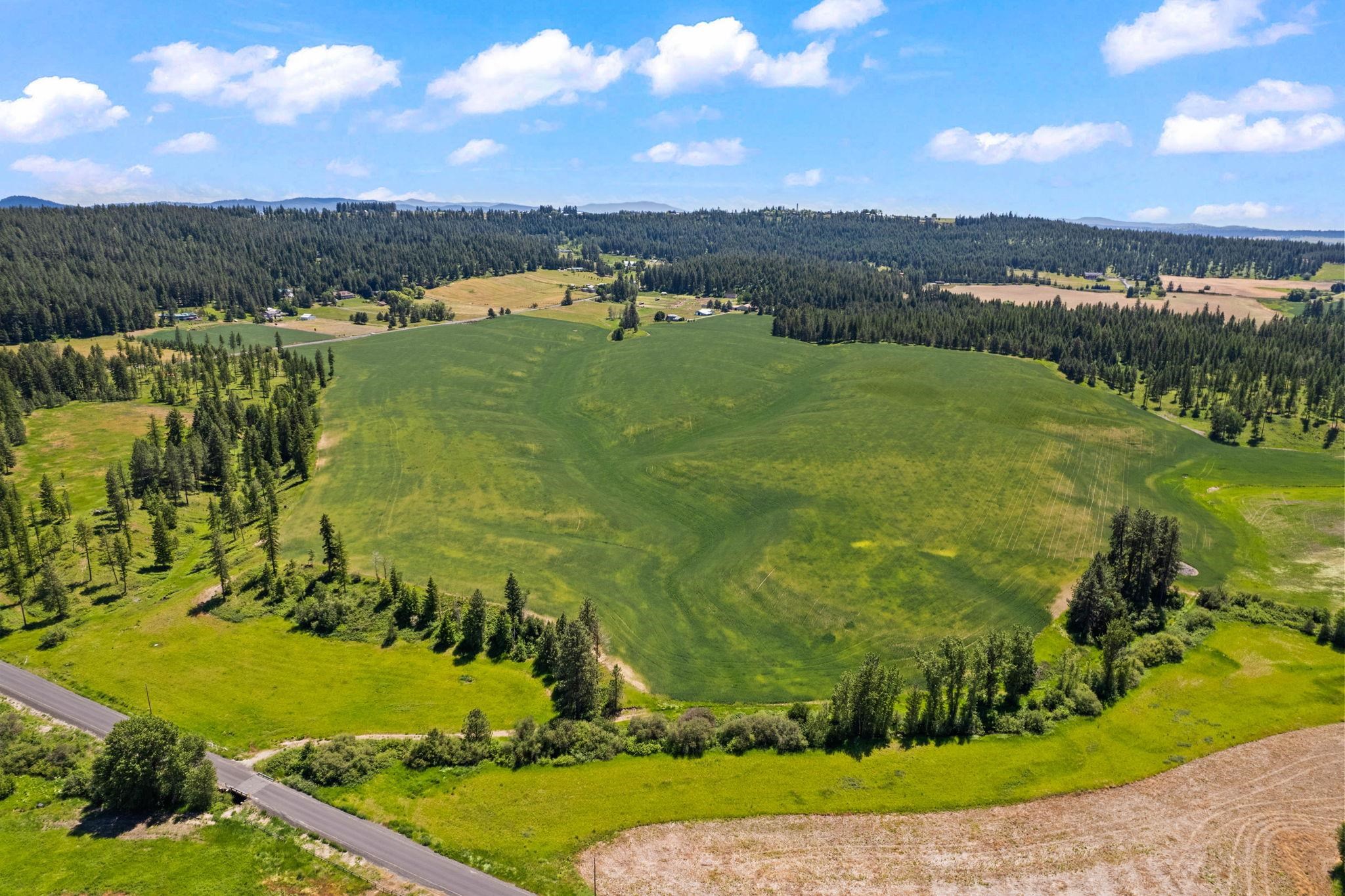 20141 North Bernhill Road Colbert, WA 99005 - Photo 5 of 16