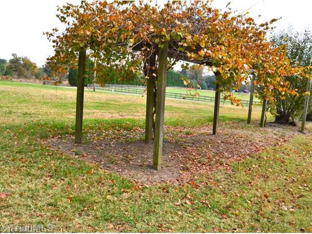6614 Coltrane Mill Road Greensboro, NC 27406 - Photo 16 of 16 Yard/Garden.