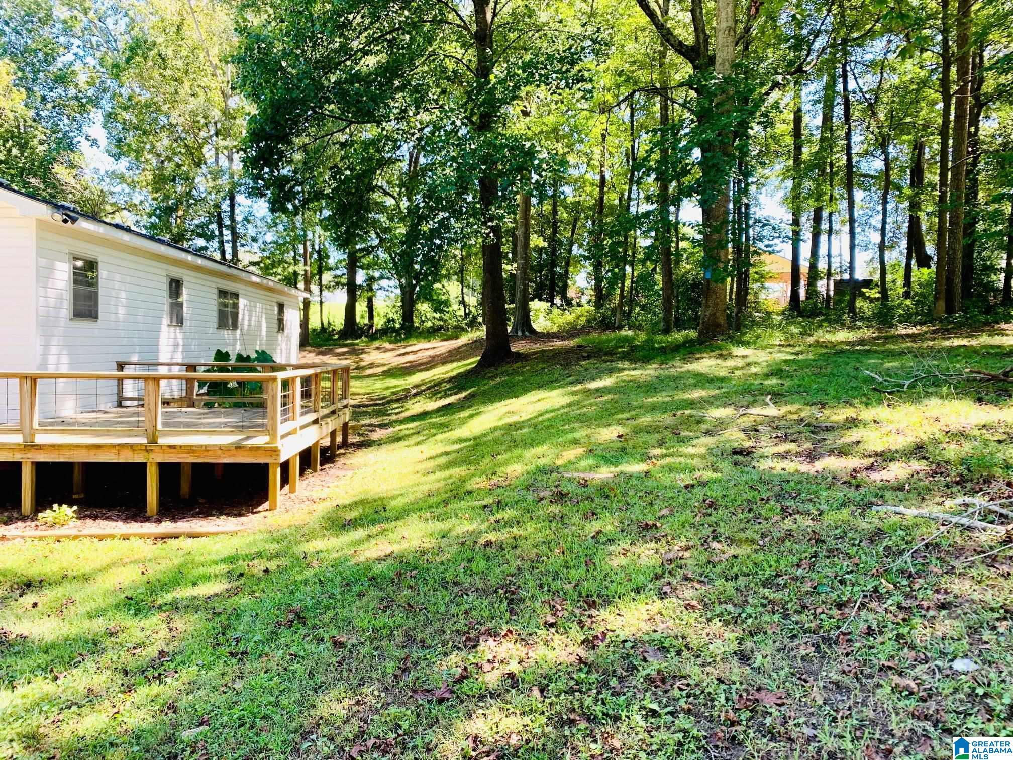 81 1st Avenue North Ranburne, AL 36273 - Photo 6 of 34