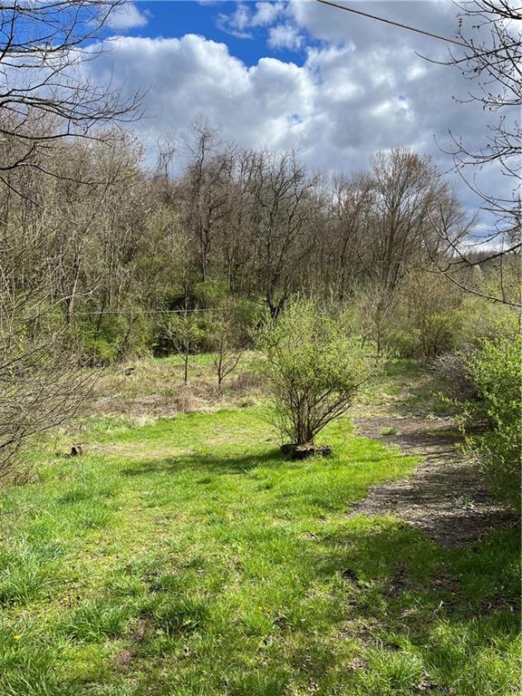 0 Sugar Run Road Waynesburg, PA 15370 - Photo 2 of 7 Gallery Image 2