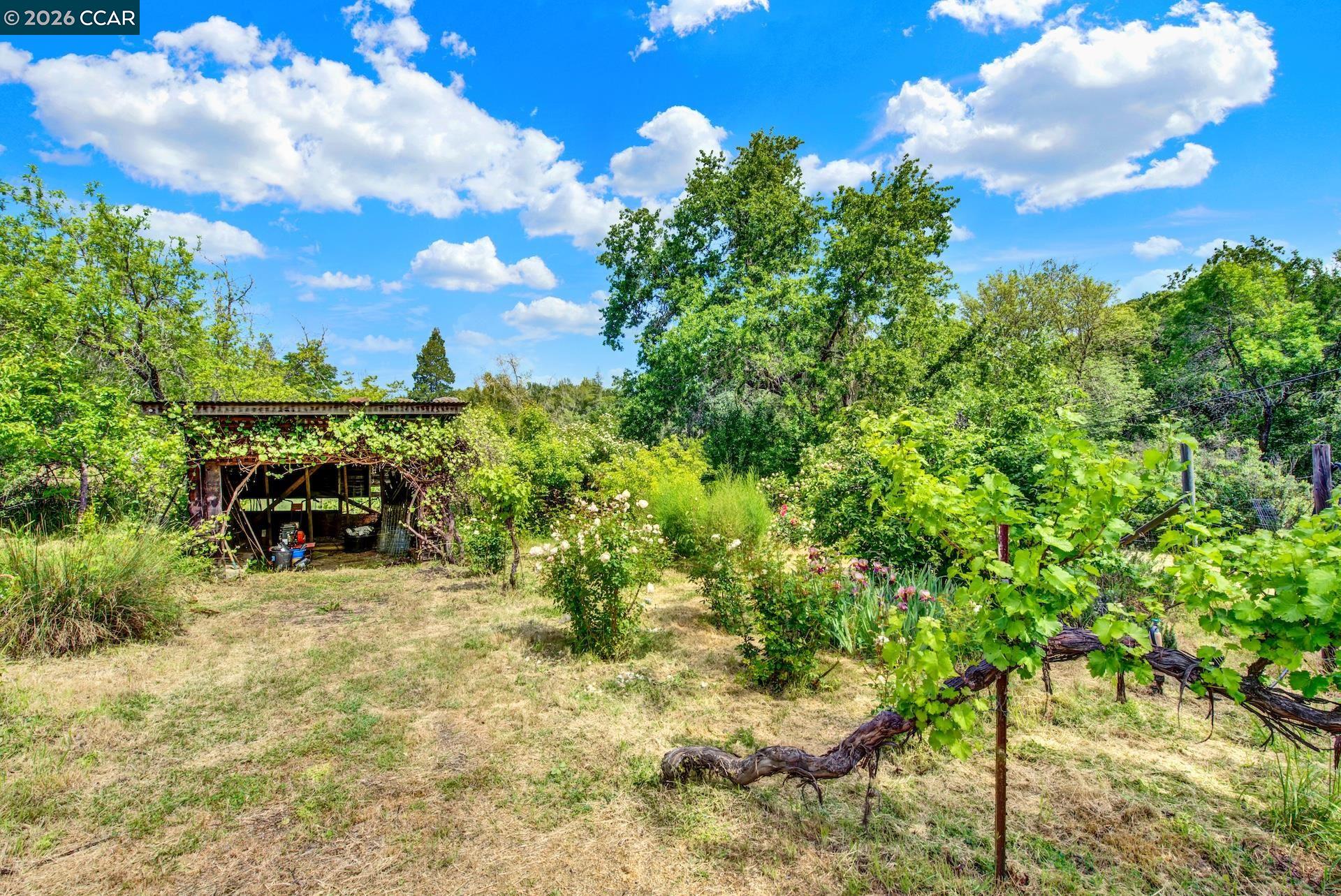 4009 Redwood Road Napa, CA 94558 - Photo 66 of 73