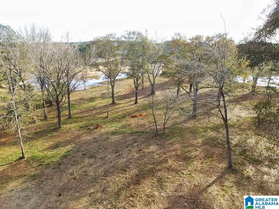 4808 Masters Road Pell City, AL 35128 - Photo 6 of 26